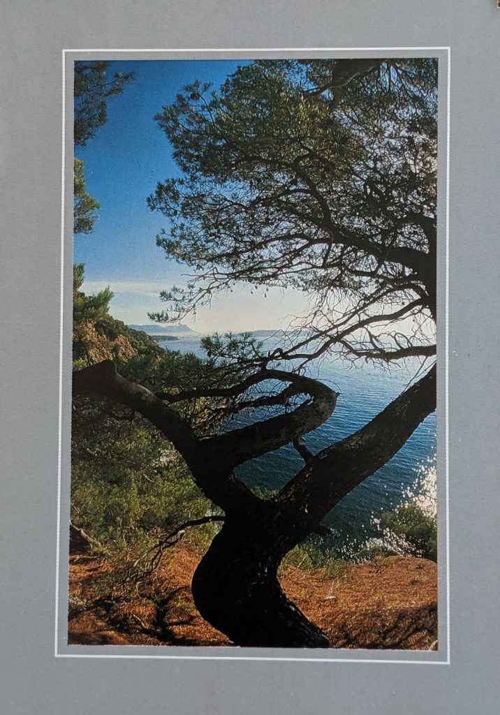 InterRail 1989: Postkarte aus Cassis (1)